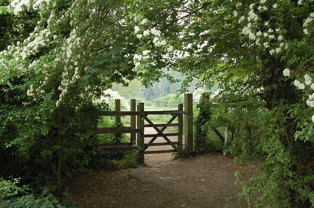 Fence Gate Designs 