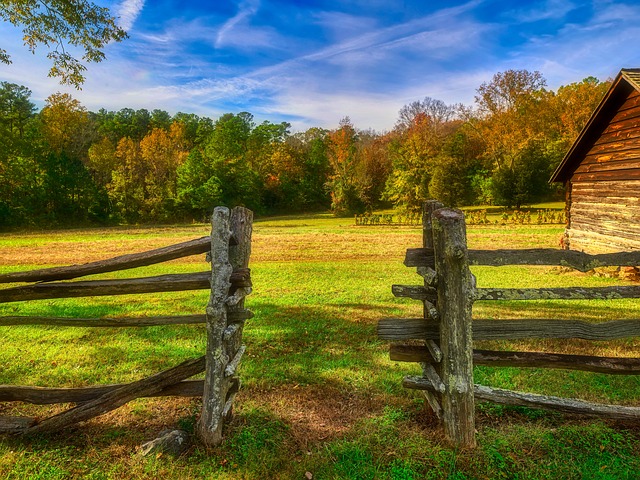 Timber Gates