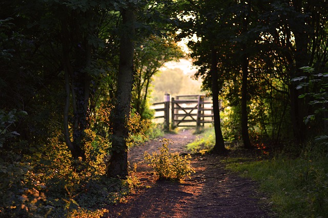 Outdoor Gate