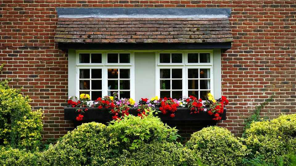 best shrubs for front of house